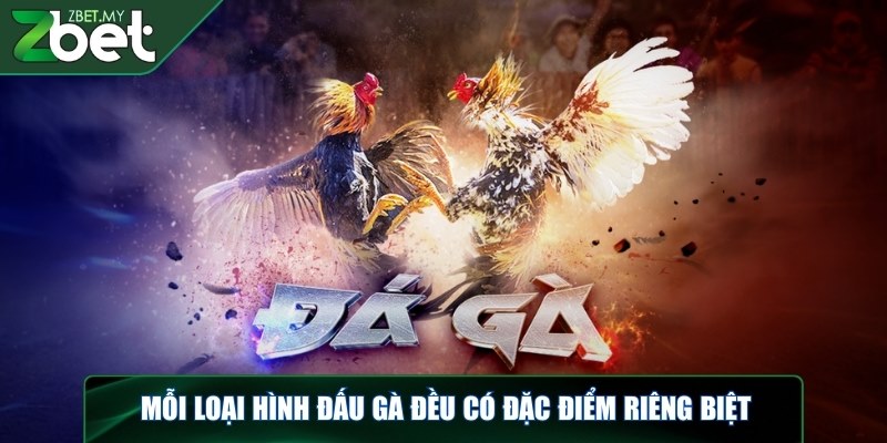 Đá gà ZBET - Mãn nhãn với màn so tài đỉnh cao của chiến kê 3 Mỗi loại hình đấu gà đều có đặc điểm riêng biệt
