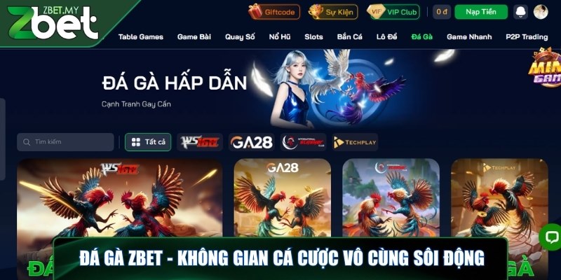 Đá gà ZBET - Mãn nhãn với màn so tài đỉnh cao của chiến kê 1 Đá gà ZBET - Không gian cá cược vô cùng sôi động